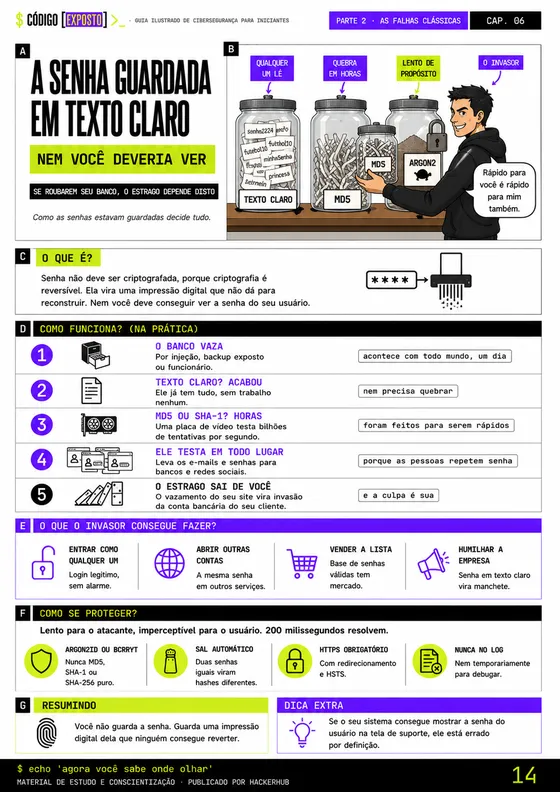 Cap 6 — Senha em texto claro